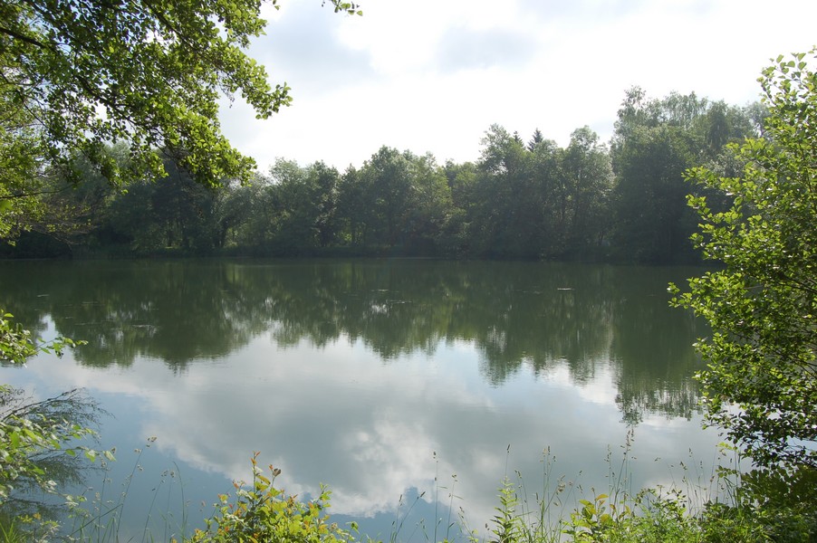 Etang à louer n°3