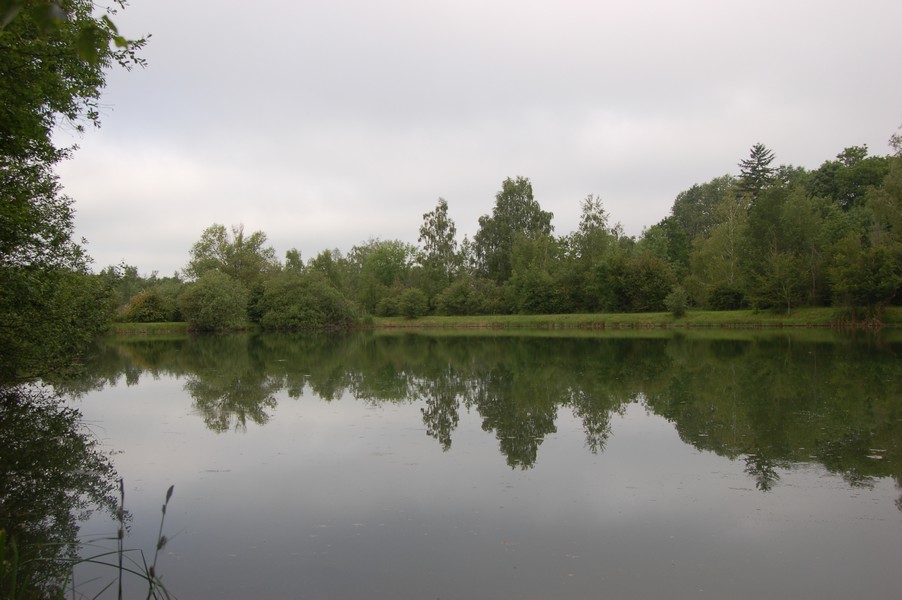 Locations d'etangs